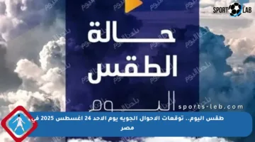 طقس اليوم.. توقعات الأحوال الجوية يوم الأحد 24 أغسطس 2025 في مصر